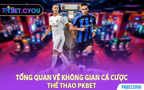 Tổng Quan Về Không Gian Cá Cược Thể Thao PKBET